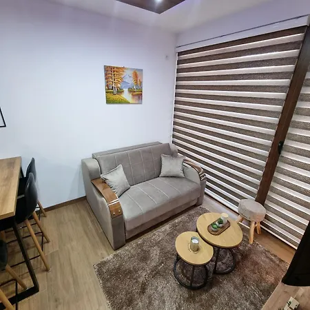 Apartamento Luxury Borovi 2